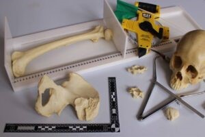 Forensic Anthropology Day at Catalyst